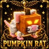 Pumpkin Rat